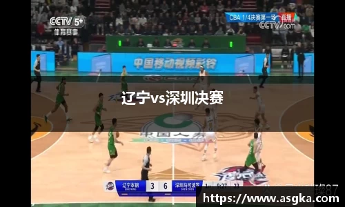 辽宁vs深圳决赛