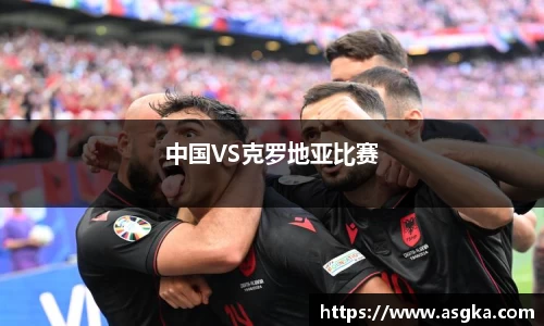 中国VS克罗地亚比赛