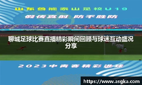 聊城足球比赛直播精彩瞬间回顾与球迷互动盛况分享