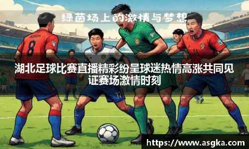 湖北足球比赛直播精彩纷呈球迷热情高涨共同见证赛场激情时刻