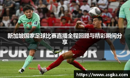 新加坡国家足球比赛直播全程回顾与精彩瞬间分享
