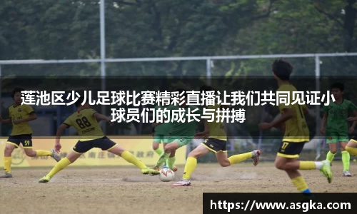 莲池区少儿足球比赛精彩直播让我们共同见证小球员们的成长与拼搏