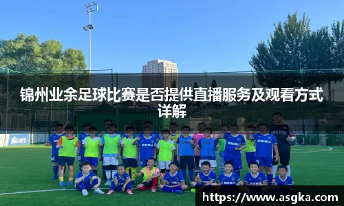 锦州业余足球比赛是否提供直播服务及观看方式详解