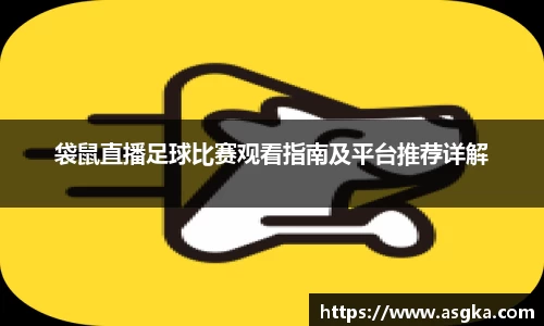 袋鼠直播足球比赛观看指南及平台推荐详解