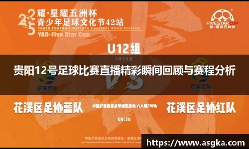 贵阳12号足球比赛直播精彩瞬间回顾与赛程分析