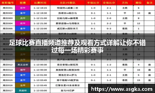 足球比赛直播频道推荐及观看方式详解让你不错过每一场精彩赛事