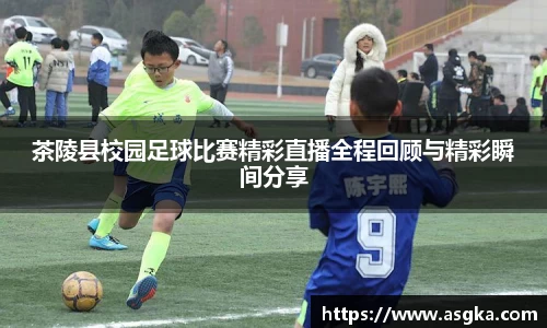 茶陵县校园足球比赛精彩直播全程回顾与精彩瞬间分享