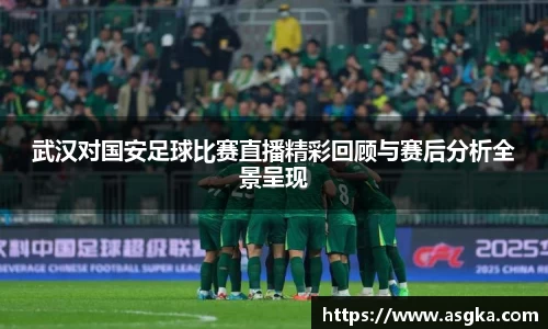 武汉对国安足球比赛直播精彩回顾与赛后分析全景呈现