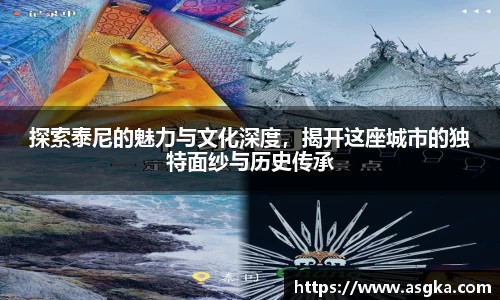 探索泰尼的魅力与文化深度，揭开这座城市的独特面纱与历史传承